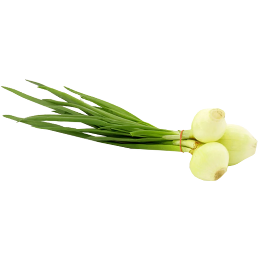 Szczypior cebulowy szt.
